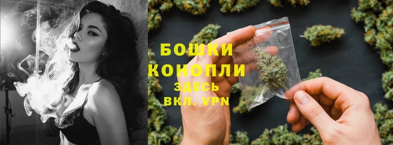 Бошки марихуана Ganja  Каргополь 